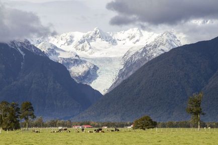 27 Причин, чому не варто їздити в Нову Зеландію