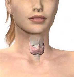 6 Фактів про щитовидній залозі, які ви можете не знати