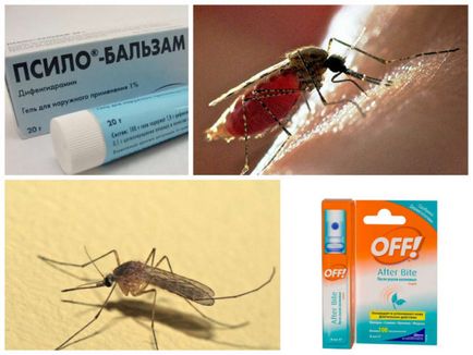 Алергія на укуси комах причини, симптоми, лікування