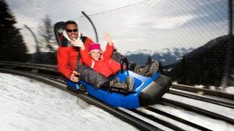 Alpin roller coaster