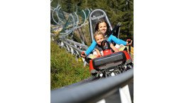Alpin roller coaster