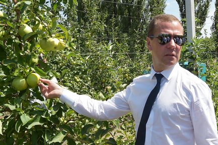 Андрій Медведєв, якого ФБК назвав кузеном прем'єра, почав вирощувати яблука на Кубані - відомості