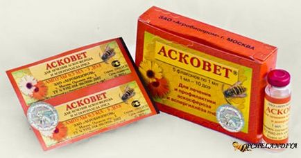 Instrucțiunea Askovet, substanța activă, metoda de aplicare, recenzii, compoziție, cumpărare în Ucraina, preț