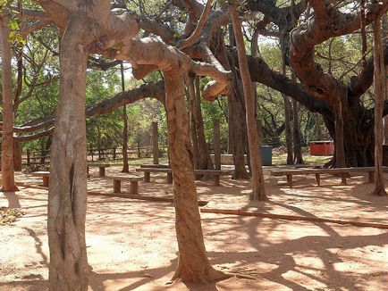 Auroville, un oraș de utopie