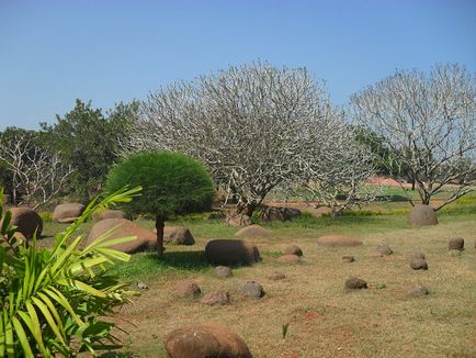 Auroville, un oraș de utopie