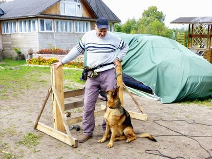 Barieră pentru instruirea și formarea câinilor - un câine fără probleme