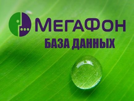 Бази даних мегафон 2012 - найкращий варез портал рунету