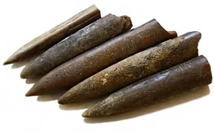 Piatra foto Belemnite