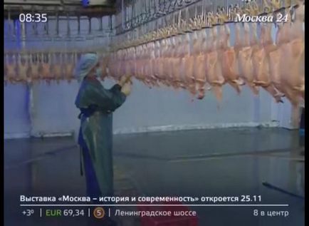 Pui de carne de pui pentru ce puiul este transformat într-o șansă - moscow 24