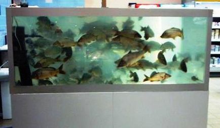Hűtő akvárium