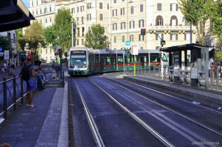 Ce se va întâmpla dacă vă duceți cu un iepure pe un tramvai la Roma