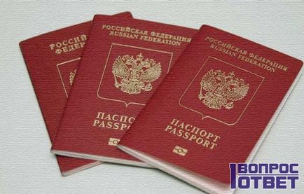 Ce trebuie să faceți dacă ați pierdut instrucțiunile pașaport pas cu pas, 10 sfaturi pentru restaurarea pașaportului