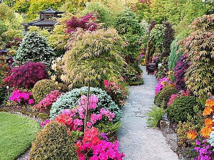 Dacha - creșă de plante ornamentale și un centru de grădină