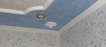 Designul tavanului pe hol, din panouri din gips-carton și din plastic (50 de interioare foto)