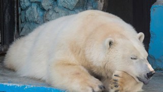 Етк пояснив проблеми зі зв'язком