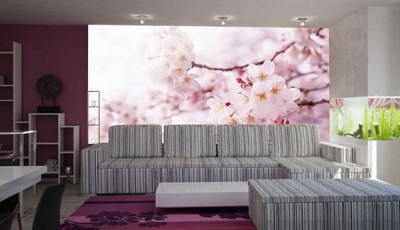 Wallpaper-uri Sakura în interior, fotografie