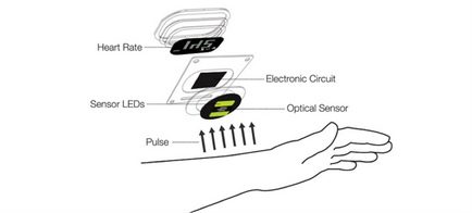 Gadgeturile pulsează sub controlul a ceea ce și de ce să măsoare pulsul în mișcare