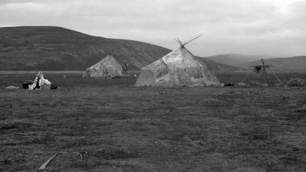 Unde și cum trăiesc crescătorii de reni Chukchi (22 de fotografii), iad