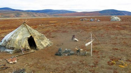 Unde și cum trăiesc crescătorii de reni Chukchi (22 de fotografii), iad