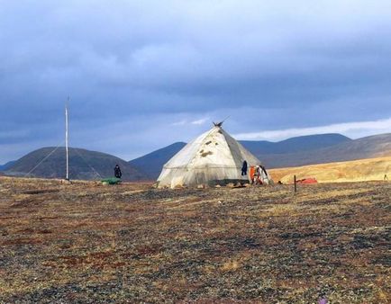 Hol és hogyan kell élni csukcsi rénszarvastenyésztők (22 fotó) pokol (Chukotka) Hol és hogyan kell élni csukcsi rénszarvastenyésztők (22 fotó) pokol