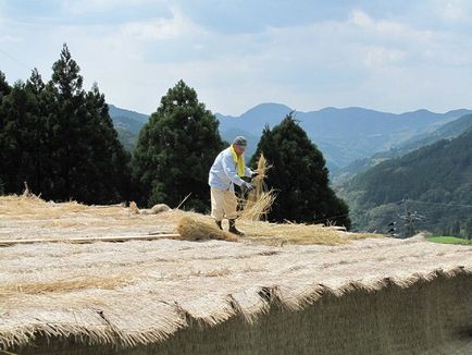 Gyokuro - cel mai bun ceai verde japonez din Japonia