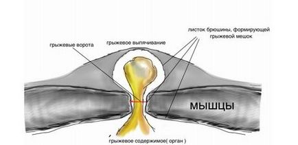 Грижи живота у дорослих ознаки, чинники, способи лікування