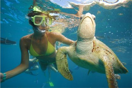 Idei pentru o evadare romantică în Phuket