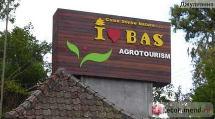 Індонезія, Балі, ферма по виробництву кави лювак (kopi luwak) i love bas agrotourism - «навіщо