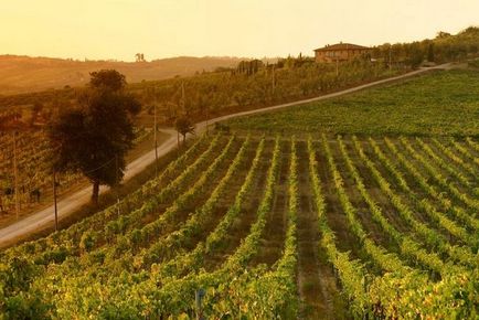 Italiană Toscana fotografie, hartă, video, vinuri toscane - unele dintre cele mai bune din Italia