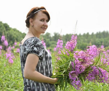 Іван чай підвищує або знижує тиск механізм дії, спосіб заварювання