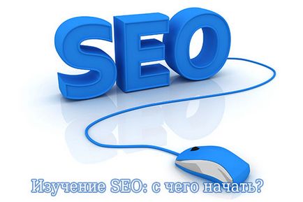 Вивчення seo з чого почати