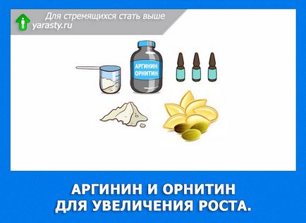 Как да се използва аргинин и орнитин за увеличаване на растежа на дължина