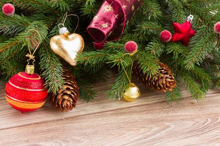 Cum să utilizați pomul de Crăciun după sărbători pentru sănătate și pentru casă