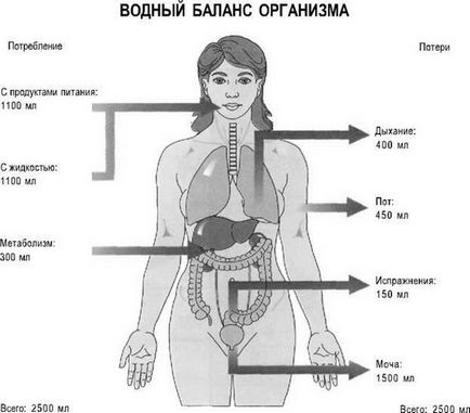 Як лікувати порушення пам'яті після пологів