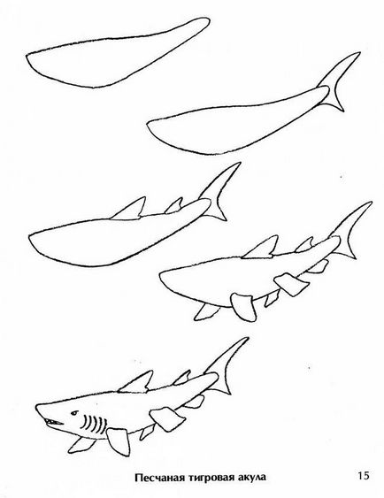 Як намалювати акулу за допомогою фото-схеми