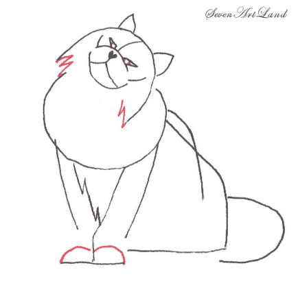 Cum de a desena o pisica de rasa Angora turceasca in creion pas cu pas