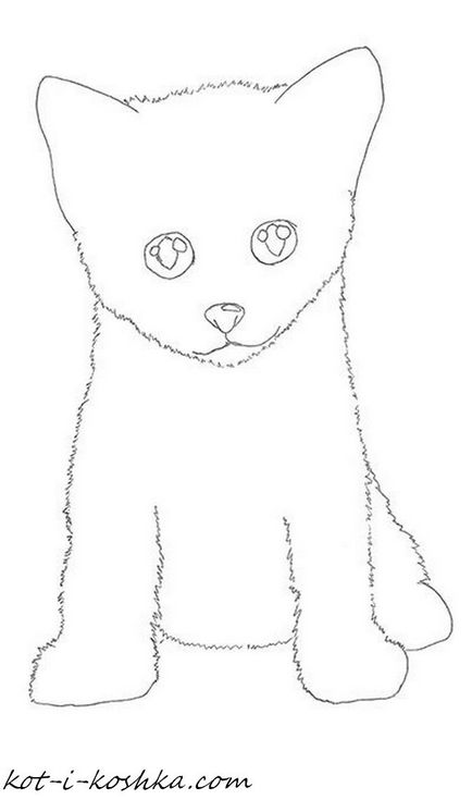 Cum de a desena un pisoi în etape, o pisică și o pisică