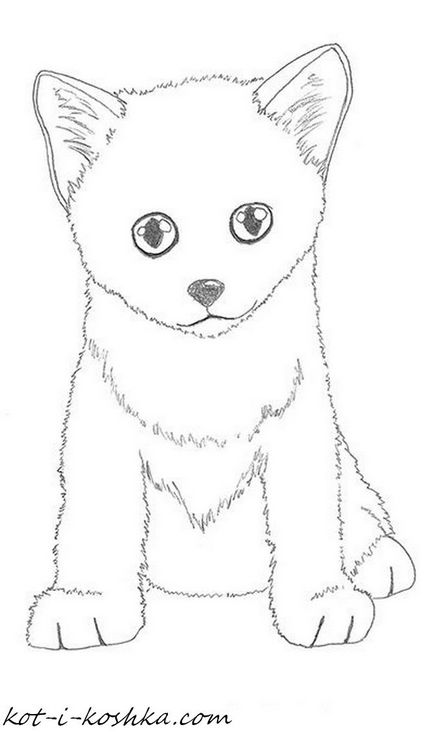 Як намалювати кошеня поетапно, кіт і кішка