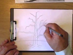 Як намалювати родинне дерево своїми руками