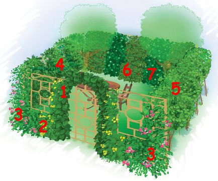 Cum să organizezi o cameră verde în grădină