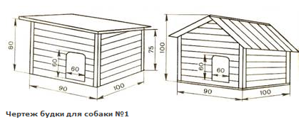 Cum să calculați corect dimensiunea cabinei pentru un câine (înălțime, lățime, lungime)