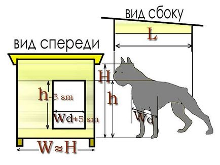 Як правильно розрахувати розмір будки для собаки (висоту, ширину, довжину)