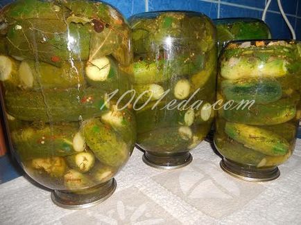Як приготувати мариновані огірки з аджикою - огірки на зиму від 1001 їжа