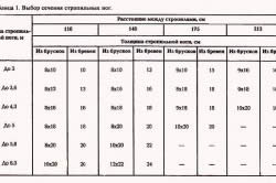 Cum sa faci un baldachin la dezvoltarea, instalarea dacha