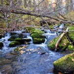 Каскад водоспадів на річці шинок найбільша природна пам'ятка Солонешенского району