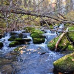 Cascada cascadelor de pe râul Shinok este cel mai mare punct de reper natural din districtul Solonexhen