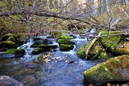 Каскад водоспадів на річці шинок найбільша природна пам'ятка Солонешенского району