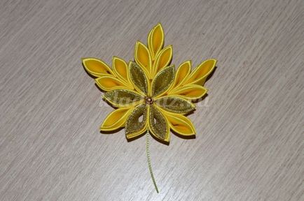 Maple Leaf kanzasi