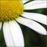 Színezés - hogyan kell kezelni a színezés - Lessons photoshop - cikkek Directory (színezés) Színezés - hogyan kell kezelni a színezés - Lessons photoshop - cikkek Directory