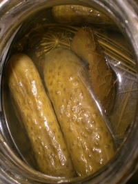 Canning uborka mustár pikáns ízt és a jó biztonsági